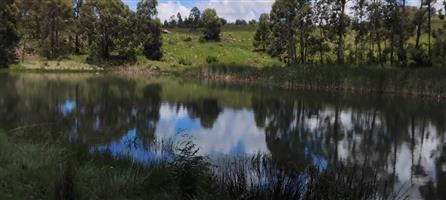 Exceptional cattle farm