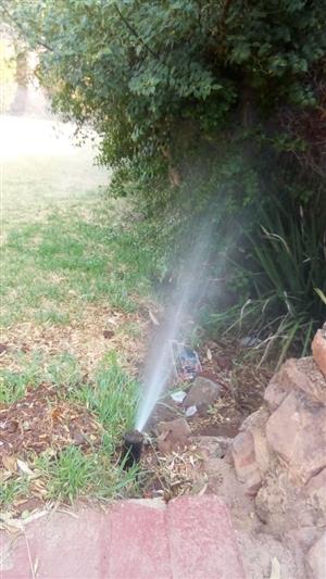 Instant lawn services at affordable prices
