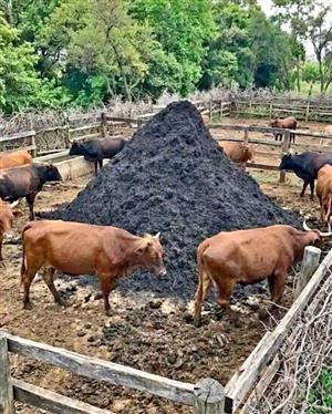 Kraal Manure We Deliver Contact Us For Orders On Whatsapp 