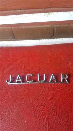 Jaguar e type metal lettering 1961.