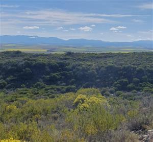 Prime agricultural land in pristine location!!!