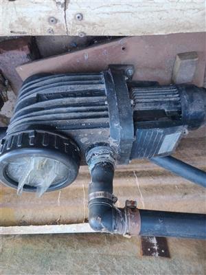 Swimming pool motor for sale
