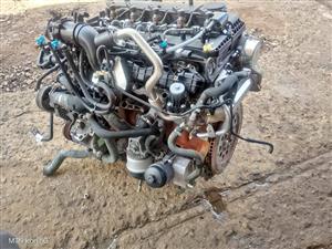 2018 Ford Ranger 3.2D Engine For Sale