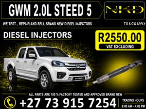 Injectors_GWM_2.0L_STEED 5_Delphi 