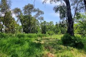 Your Blank Canvas Awaits in Benoni AH! R 1 300 000