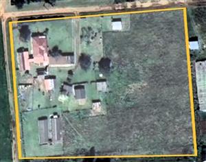 MULTI-INCOME SMALLHOLDING FOR SALE – PROSPERITY AH, DELMAS 