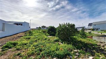 Corner Stand with Scenic River Views