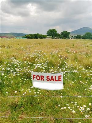 Wakkerstroom Residential Land 