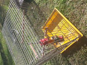 Medium size cages