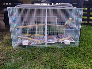 Bird / Rat, hamster Cage