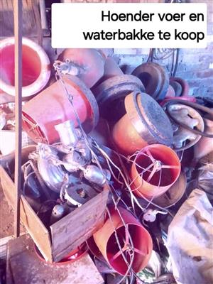 Chicken Plucker with Feed & Drink containers