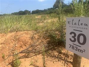 PLANTATIONS - NEWEST RELEASE IN ELALENI