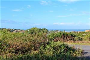 Expansive Plot with Sea Views in a Popular Suburb in Port Alfred