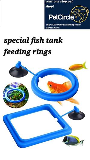 Aquarium  feeding rings