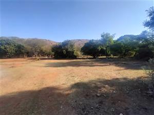 The Perfect Canvas for Your Next Signature Development