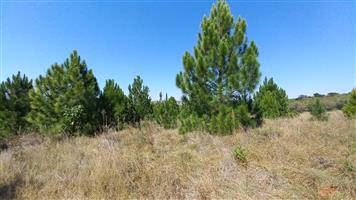 8.6843 ha Smallholding in Zwavelpoort with Development Potential