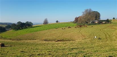 KZN MIDLANDS :  89ha  LIVESTOCK FARM  WITH WELL DEVELOPED FEEDLOT FACILITIES