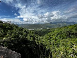 Charming farm for sale in The Schoemanskloof