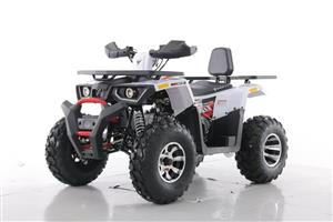 New Tao Braves 200 Atv for sale- Adult size