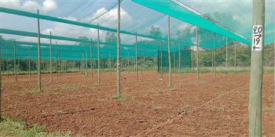 Shadenet 0.5 Ha for sale