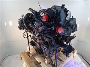 Nissan YD25 2.5L Turbo Diesel Engine