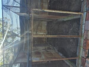 Bird cages for sale