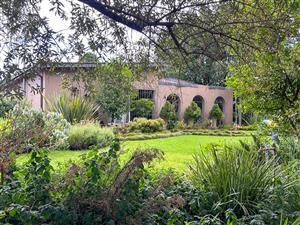 Warm and Spacious Family Home in Baillie Park