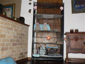 CAGE for Hamsters/ Dumbos/Rats small animals. 3  with assories 