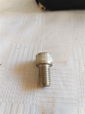 Stainless steel bolts
