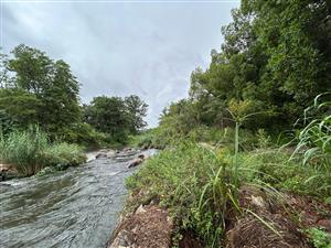 Farm For Sale in Tzaneen Rural