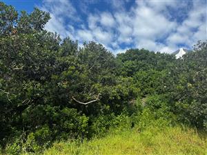 Immaculate Stand in Paradise Beach – 720m²