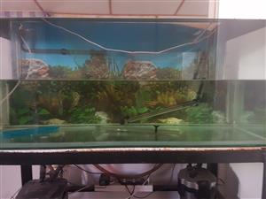 4ft fish tank for sale