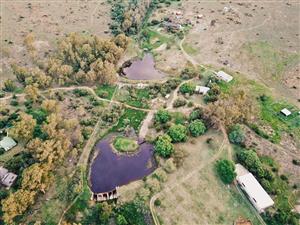 29 hectare Small holding holding- on Auction- Rustenburg Multiple dwelling.