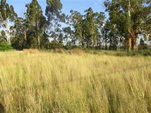 Vacant Land Residential For Sale in Henley On Klip