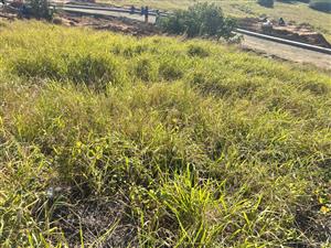 Premium Corner Stand in Prestigious Secure Estate