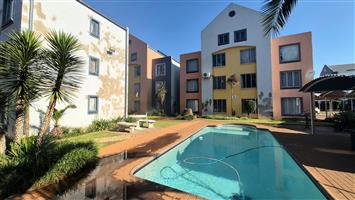 Bachelor Apartment – Prime Location Opposite the University