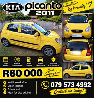 2011 Kia Picanto 1.1 Striker