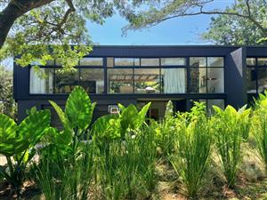 Sculpted for Light, designed for Luxury