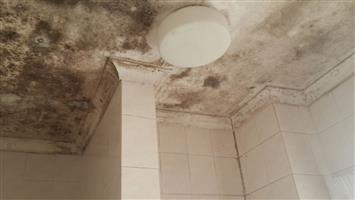 Bathroom Mould (Mold, Mildew) Removal