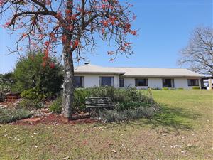 240 Hectare Farm for Sale