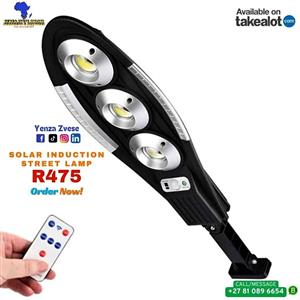 Solar Induction street lamp