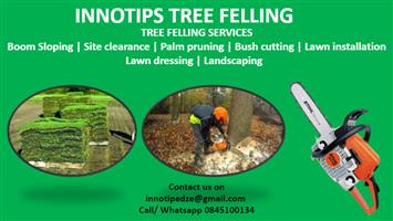 Tree felling and landscaping services