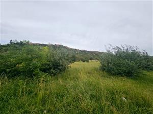 Vacant Land Residential For Sale in Ladybrand