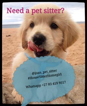 House and pet sitter in and around Cape Town