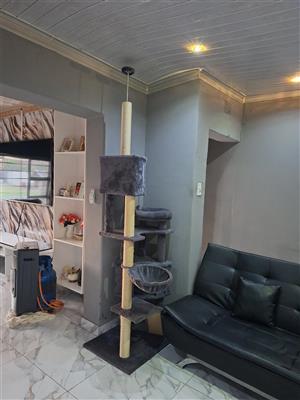 CAT PLAY TOWER
