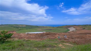 THE RIDGE - SEATON ESTATE