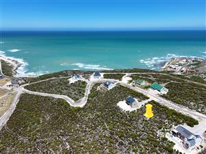 Scenic Stand in Secure Agulhas Nature Reserve