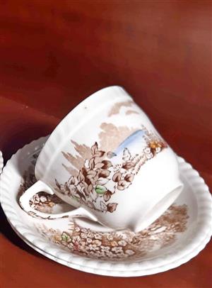 Johnson Brothers "Castle on the Lake" teacups and saucers (X 5 duo's) in a brown multicolor