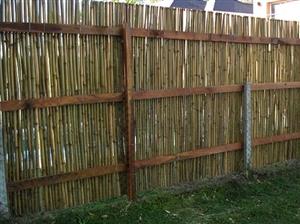 Bamboo fence