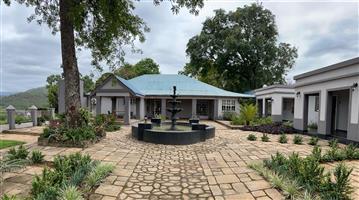 3 Businesses in 1 - Magnificent Running Concern